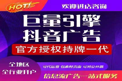 网络营销新篇章：竞价推广案例分析